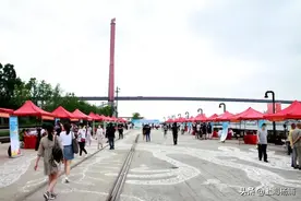 杨浦滨江的这场招聘会你错过了吗？图片