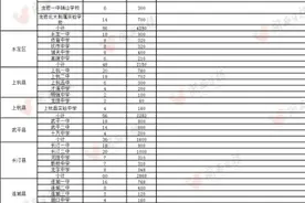2020年龙岩市普通高中招生学校名单和招生计划图片