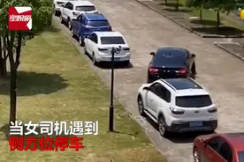 女司机侧方位停车怎么都进不去，旁边保洁阿姨出手，结局亮了图片