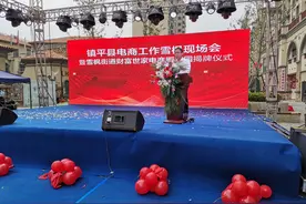 镇平县雪枫街道办财富世家电商孵化园揭牌图片