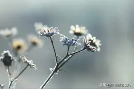 秋雨与我，读与被读图片