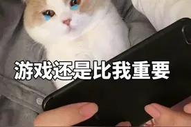 玩游戏最忌讳的就是感情？网友：你和游戏过去吧图片