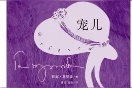 《宠儿》：从莫里森的“难以言说”，看书名所蕴含的文化代码图片