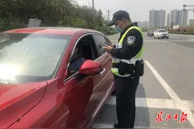 核查身份证件，查验健康绿码，出城高速秩序井然图片