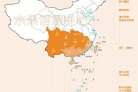 中国橙子主要产地分布图，来看全国橙子产地大pk图片