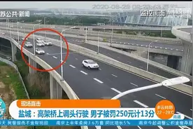高架桥上调头导致拥堵 任性司机被罚250元计13分图片