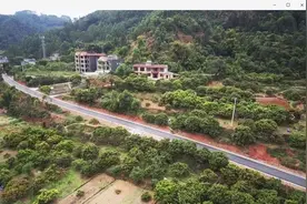 滴滴！荔枝湾驶入致富“快车道”图片