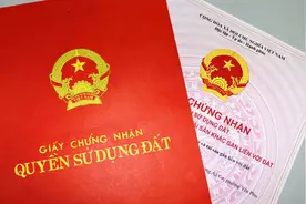 越南真的搞了这些“改革”吗？请看真相到底如何图片