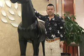 赛鸽情缘，梦系蓝天，爱随心翔图片