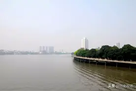 霍英东与白天鹅图片