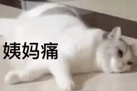 谈恋爱用的表情图：我不管你就是要宠着我图片