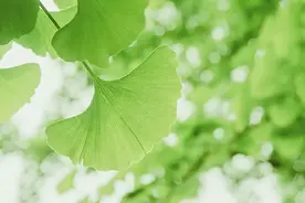 在生活和工作中，保持正确的观念，才是处理好事情的关键图片