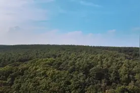 公益宣传短片 | 《绿水青山，有我守护》图片