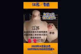 江苏十三太保出征湖北孝感，南京无锡苏州散装江苏出动，武汉加油图片