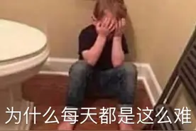 表情包：为什么每天都是这么难图片
