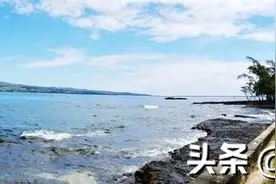 ST 椰岛：收到上交所审核意见函图片
