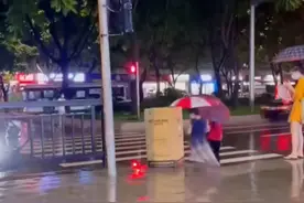 笑哭！广东一男子下雨天顶纸箱突然站起过街，路边姑娘被吓一跳图片