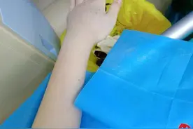 毒蛇乘凉藏身衣柜，女孩以为是玩具伸手一摸......图片
