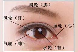 脏腑外候：面部诊法之目诊图片