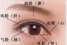 脏腑外候：面部诊法之目诊图片