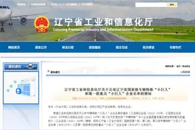 辽宁：国家级专精特新“小巨人”和第一批重点“小巨人”企业名单图片