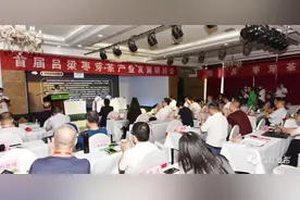 首届吕梁枣芽茶产业发展研讨会在临县圆满举行图片