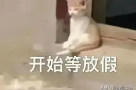 清明出游！昆明周边摘水果全攻略！图片