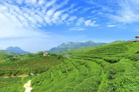 中国绿都 最氧三明 | 今天中午12时，全国人大代表林兴禄向你讲述“林深水美人长寿”的三明故事图片