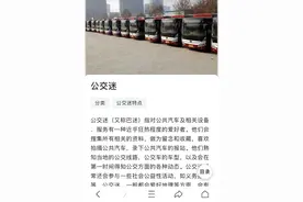公交迷百度词条图片