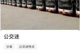 公交迷百度词条图片