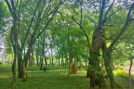 江西见闻：民办学校不仅挖公办学校的墙角，还把包袱甩给公办学校图片