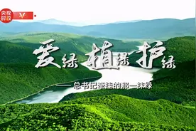 时政微纪录丨爱绿 植绿 护绿——总书记牵挂的那一抹绿图片