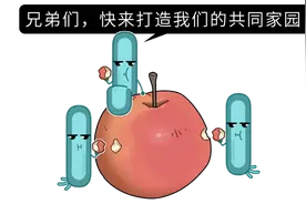 水果发霉坏掉了，切掉坏的部分还能不能吃？一次实验告诉你图片