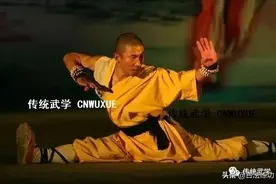 武海忠告--值得一看图片