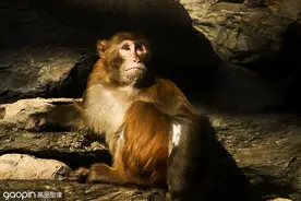 大家好，给大家介绍一下，这就是我在家的样子……图片