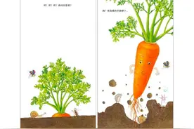 儿童画教程｜我的蔬菜宝宝图片