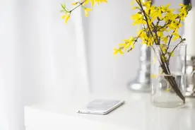 写给没有什么能力，但是又急于成功的人图片
