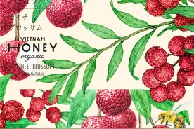 Vietnam Honey 插画风蜂蜜礼盒包装设计赏析图片