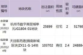 一路之隔限价低3000元/㎡，乔司南宅地两分钟就拍至封顶图片