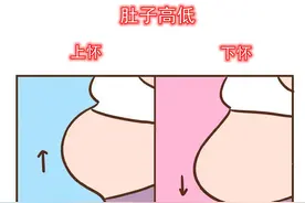 孕肚“上怀、下怀”暗示胎儿性别？谣言不可信，真正的区别是这些图片