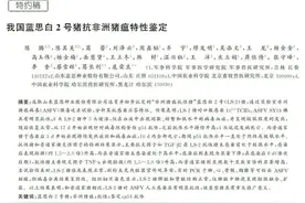 我国研究人员发现具有非瘟抗性的大白猪品种图片