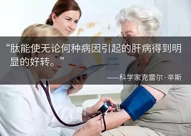 肽对肝脏的作用 2026年肽对肝脏的作用是什么