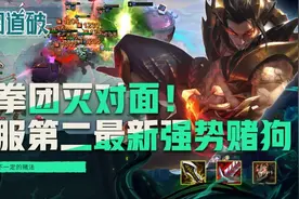 一拳团灭对面！云顶之弈美服第二最新优化强势赌狗图片