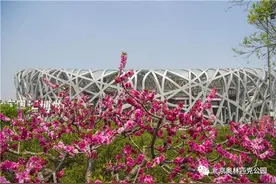五一期间，水立方、鸟巢、奥林匹克塔、中国科技馆不开放图片