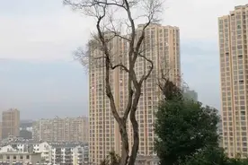 小河（散文）图片