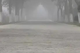 忆童年，穿新衣那点窘事……图片