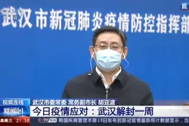 “解封”一周，312万人次自驾进出武汉图片