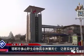 邯郸市佛山野生动物园非洲狮死亡 记者实地采访图片