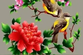 头像和壁纸，鸟语花香，绿水青山，美景如画图片