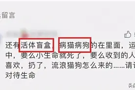 “活体”宠物被塞进盲盒，成了月入20万+的嗜血生意图片